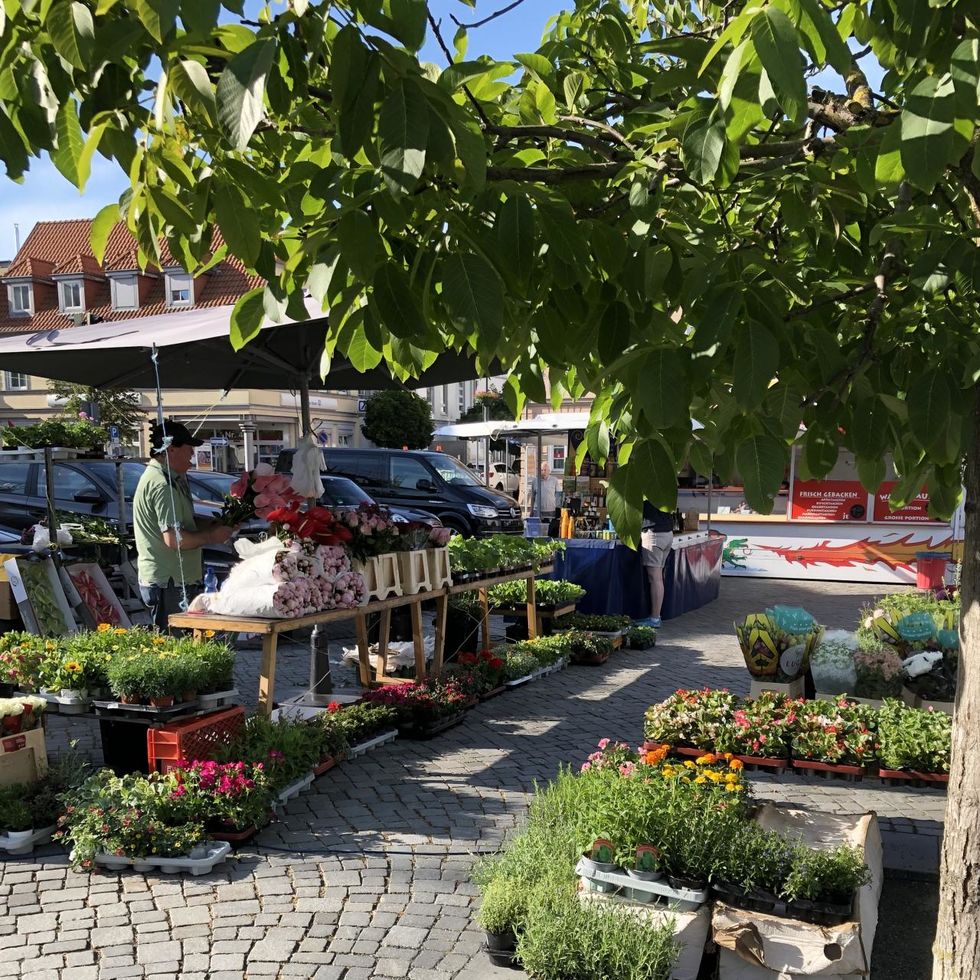 Weekly market-Ribnitz